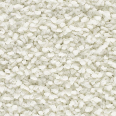 Ковролин Best Wool Royal Luxury Chenille Luxury Chenille фото 1 | FLOORDEALER